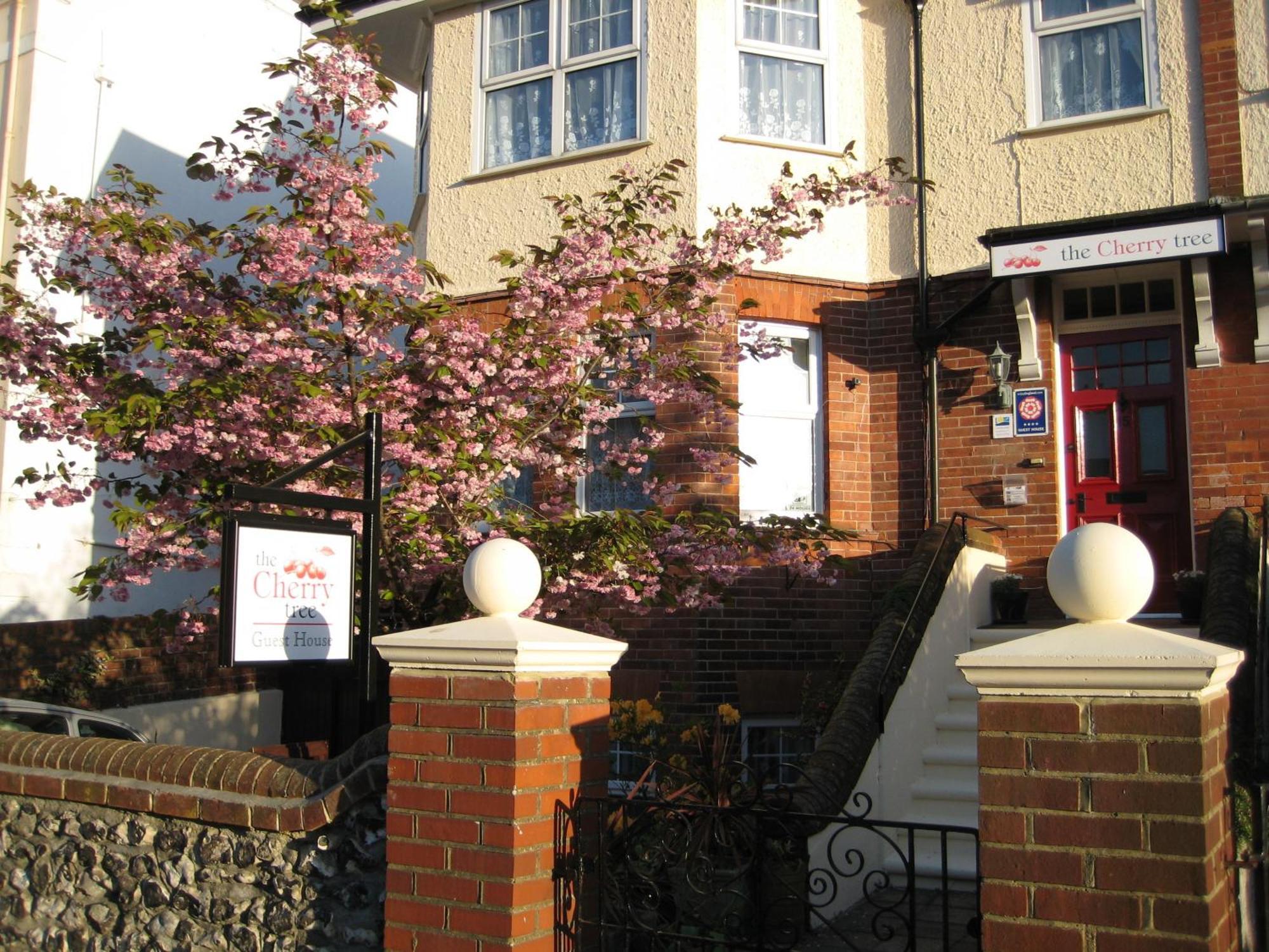 The Cherry Tree Guest House WTA WTA Eastbourne Exterior foto