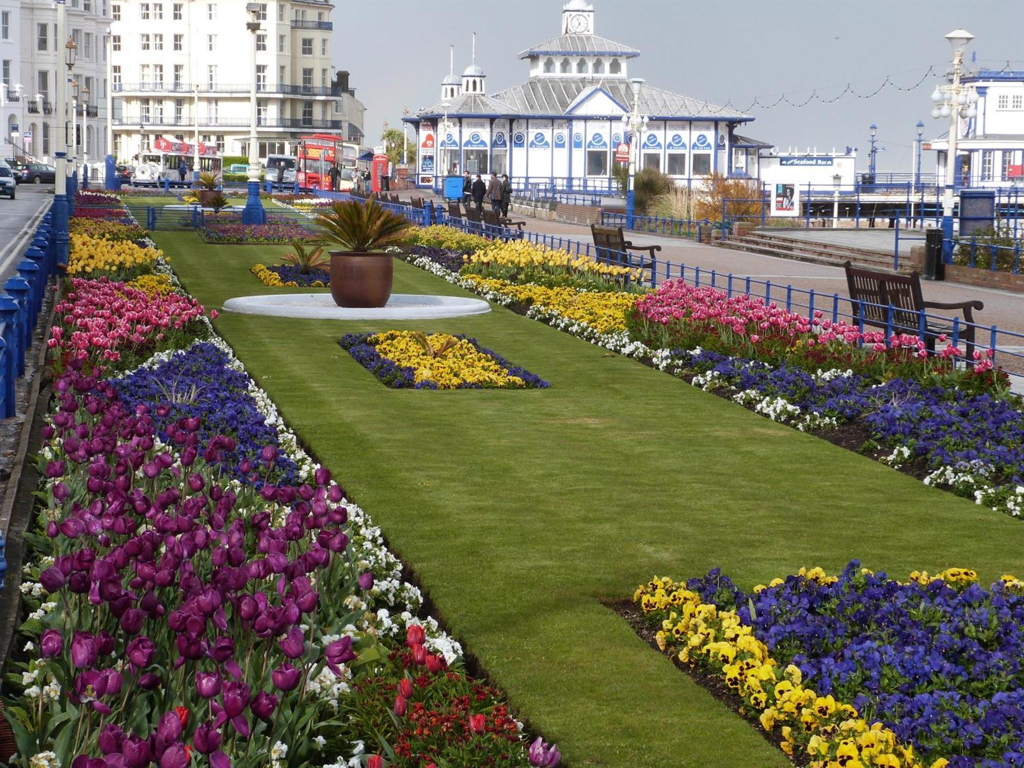The Cherry Tree Guest House WTA WTA Eastbourne Exterior foto