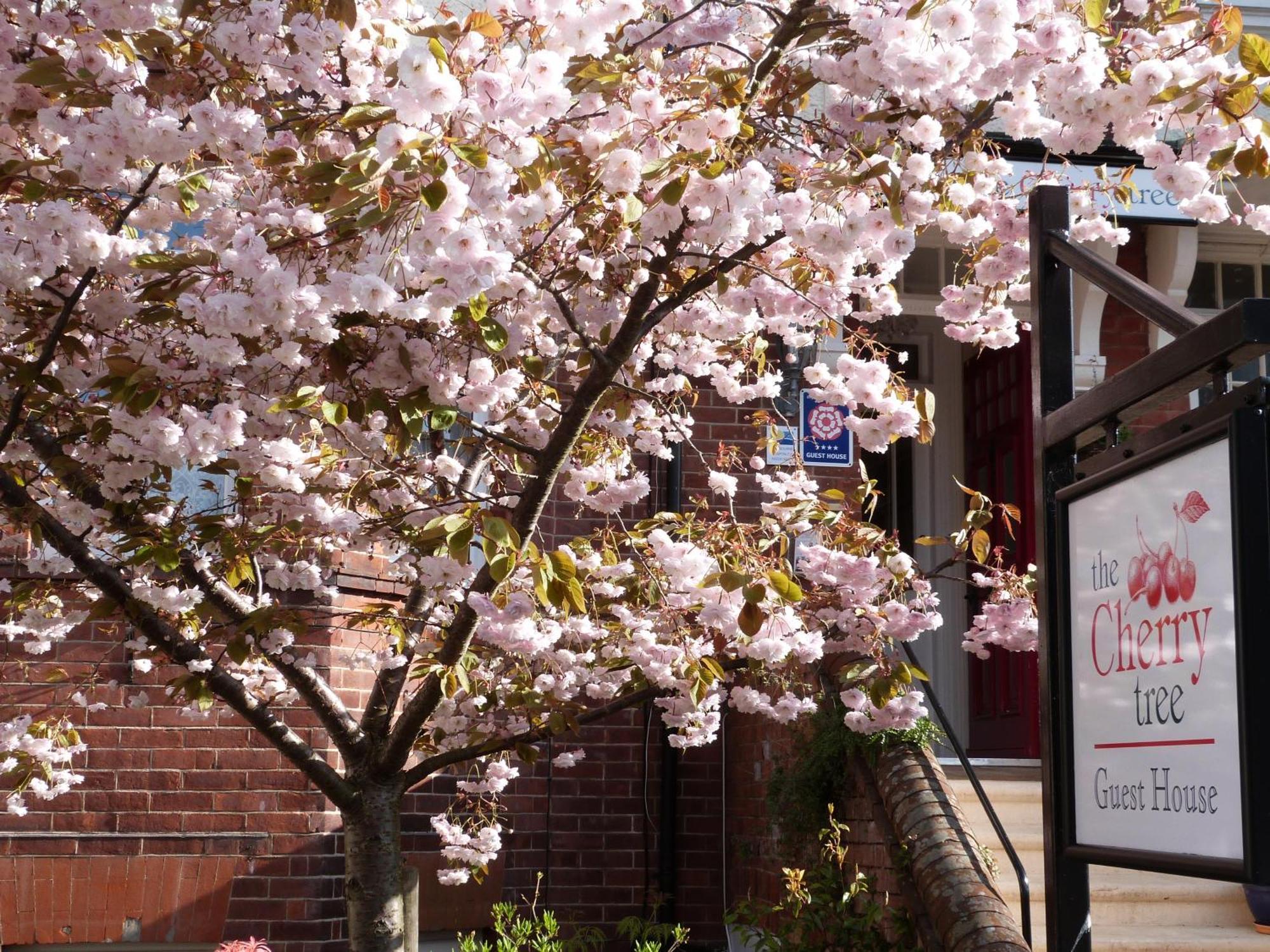 The Cherry Tree Guest House WTA WTA Eastbourne Exterior foto