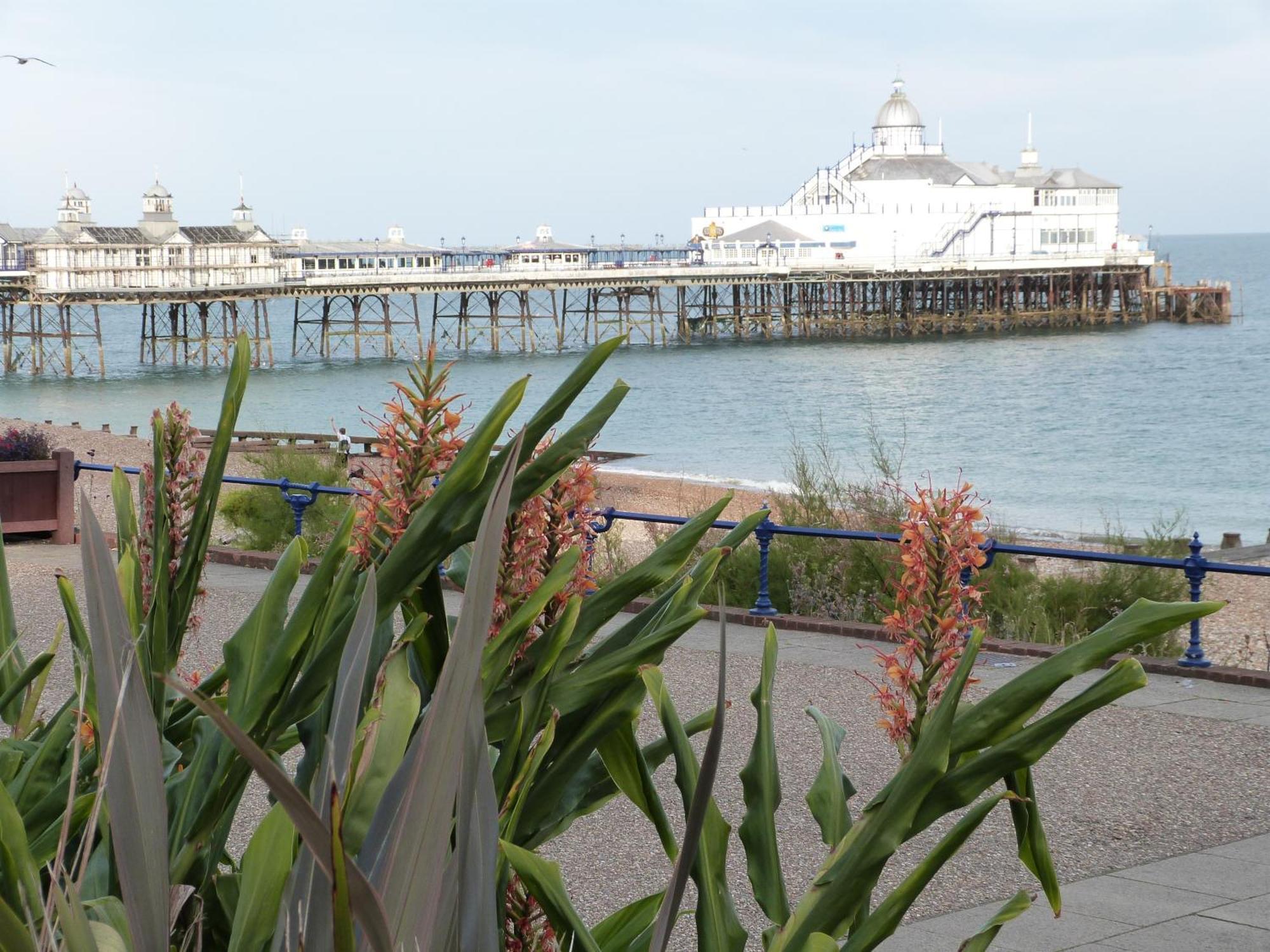 The Cherry Tree Guest House WTA WTA Eastbourne Exterior foto